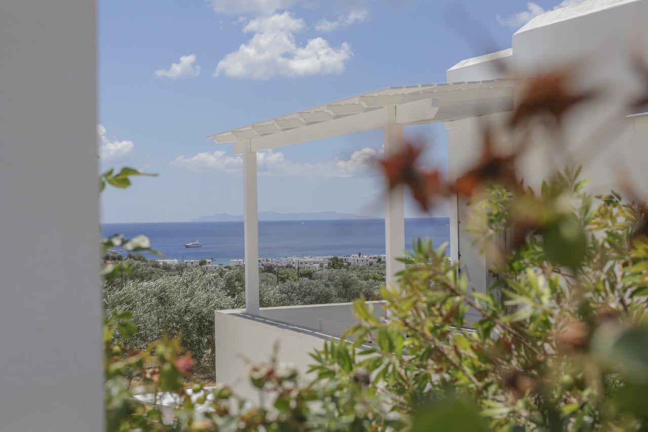 Ktima Vrisiana Apartment Platis Gialos  Bagian luar foto